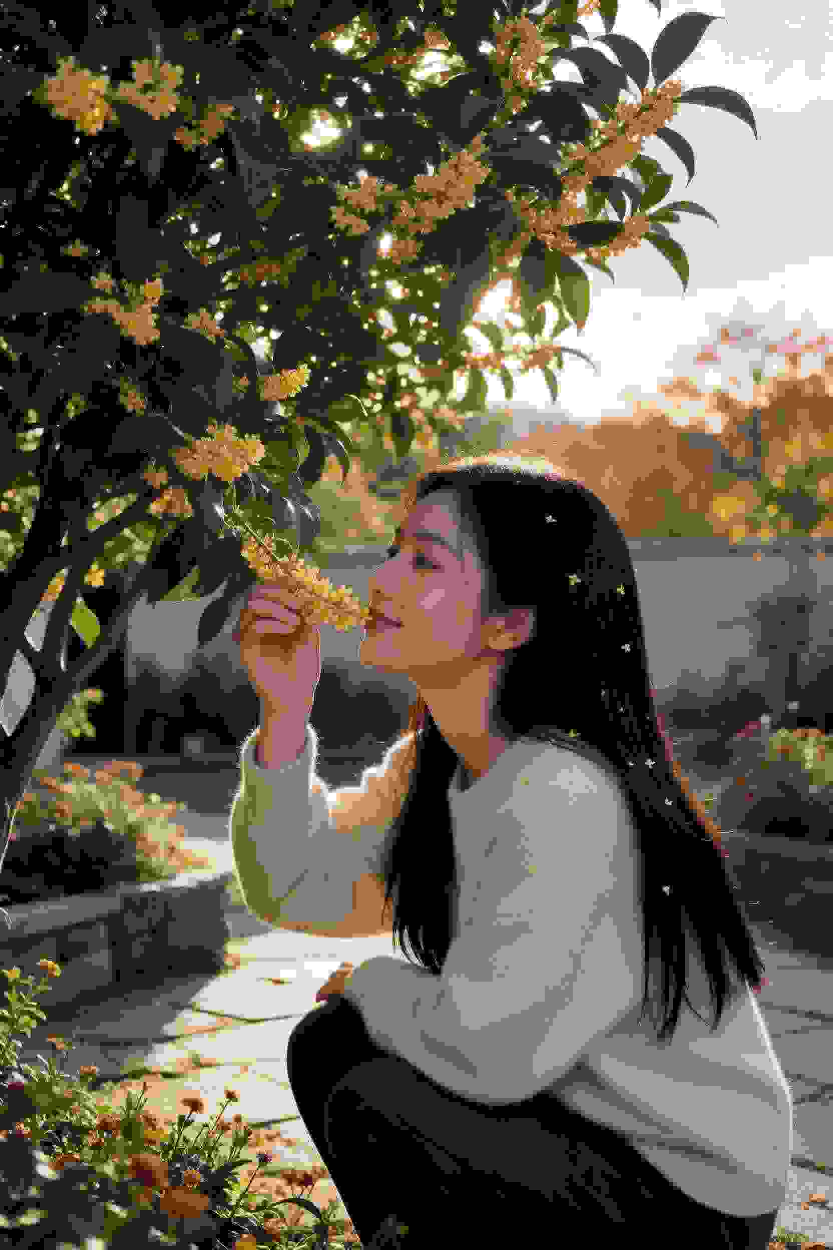 黑子的篮球